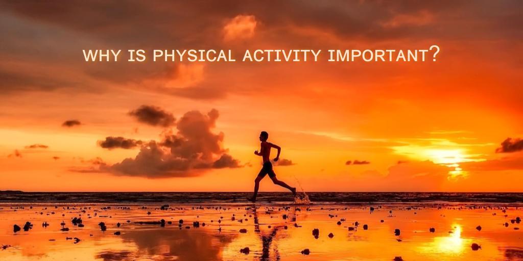 You are currently viewing Why Is Physical Activity Important? – Answered in a sentence