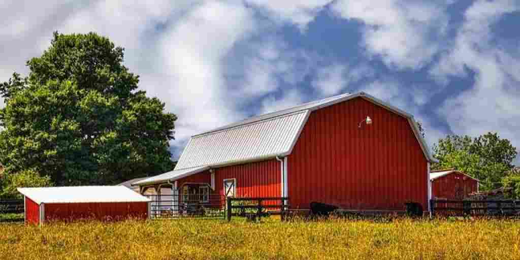 You are currently viewing Metal Farm Buildings: The Backbone of Agriculture